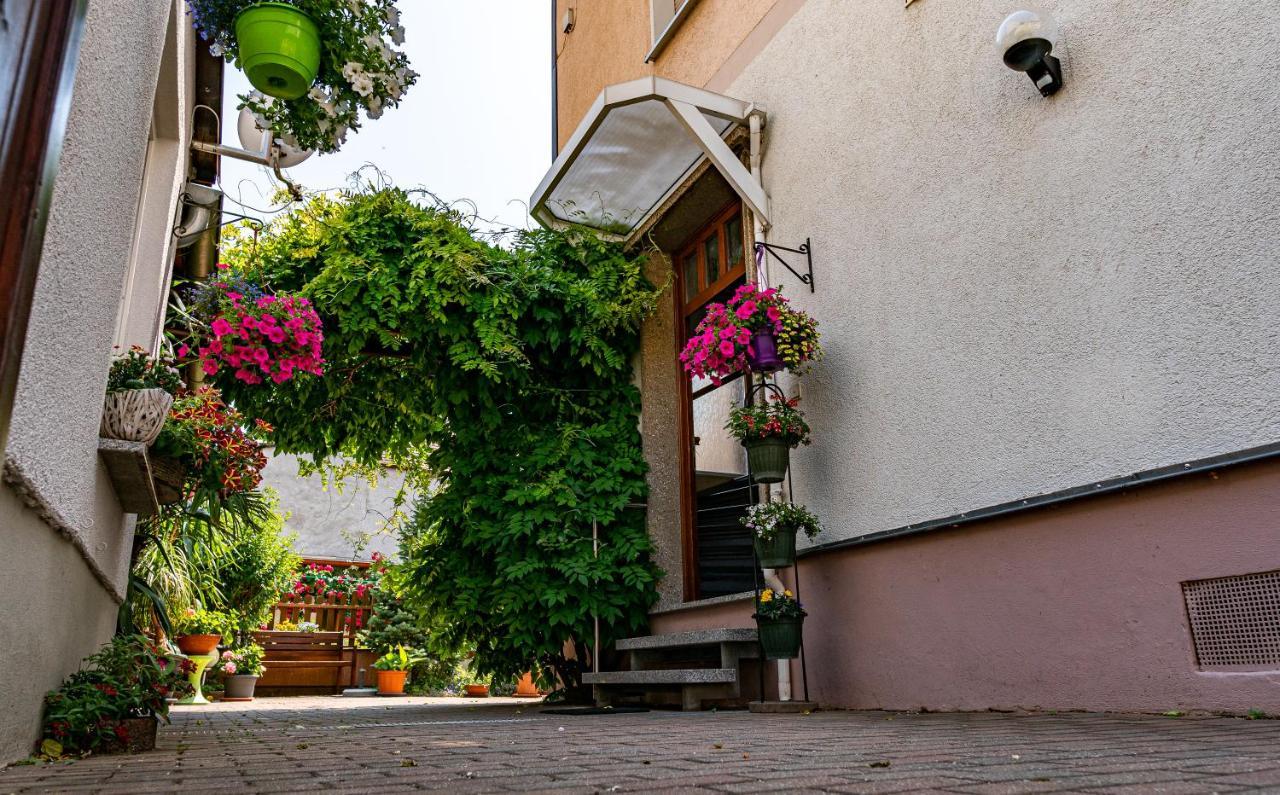 Pension Borna Exterior foto
