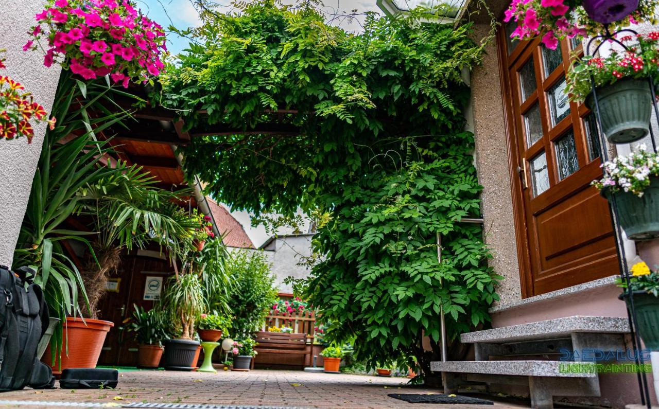 Pension Borna Exterior foto